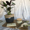 Planter Perfect - Charcoal Linen
