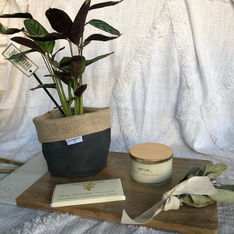 Planter Perfect - Charcoal Linen
