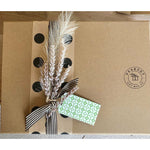Warm Hugs - Agave Fair Isle